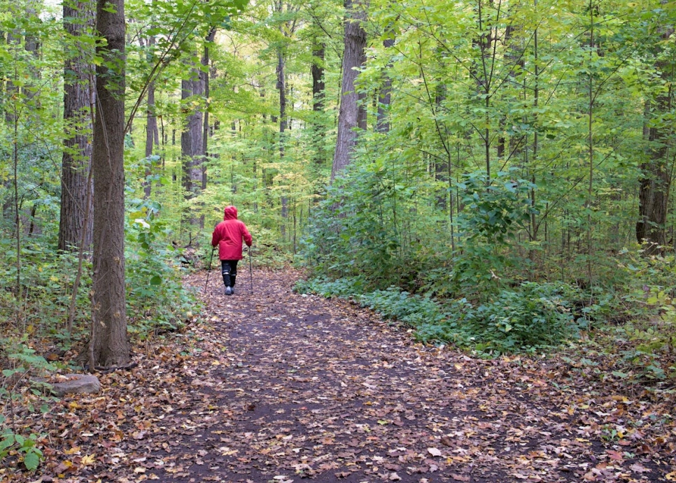 Seniorzy mogą teraz korzystać z zajęć Nordic Walking w Parku Marka Kotańskiego, organizowanych przez OSiR Włochy